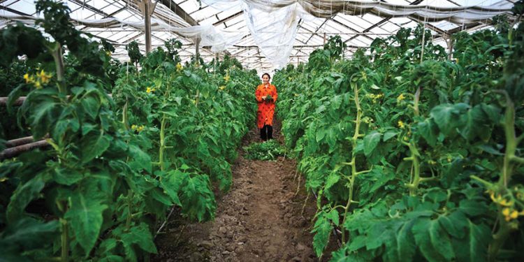 Cooperation and collaboration between CAREC members will help address numerous challenges facing the region, including food insecurity.