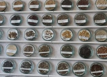 As of 2021, Ukraine estimated that it held more than 150,000 plant genetic materials belonging to 544 crops varietals and 1802 species of plants