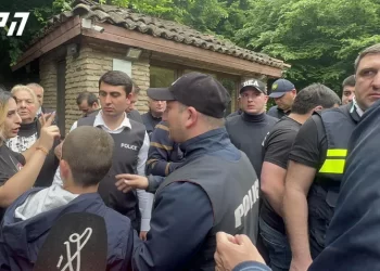 All activists arrested in the vicinity of ‘Kvareli Lake’ hotel released