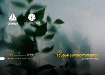 ნესტან აბდუშელიშვილის გამოფენა თიბისი კონცეპტში