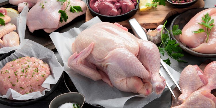 “Chirina” Business Development Project Has Been Completed