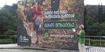 Meet you in the forest you help grow!