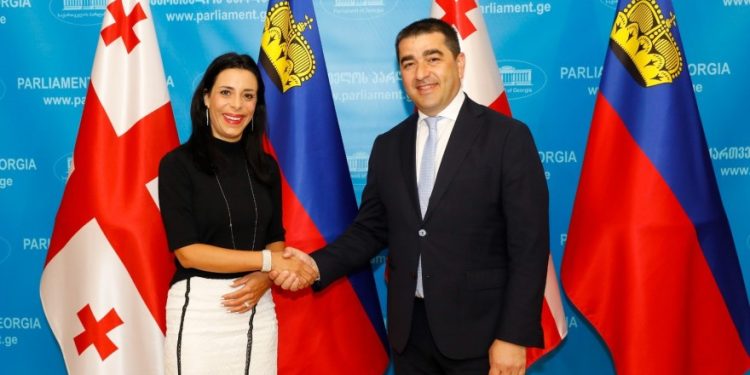 Speaker meets with MFA of Liechtenstein, discusses cooperation prospects