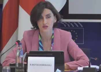 Maka Bochorishvili: Decision not to grant candidate status left space for uncertainty, speculations