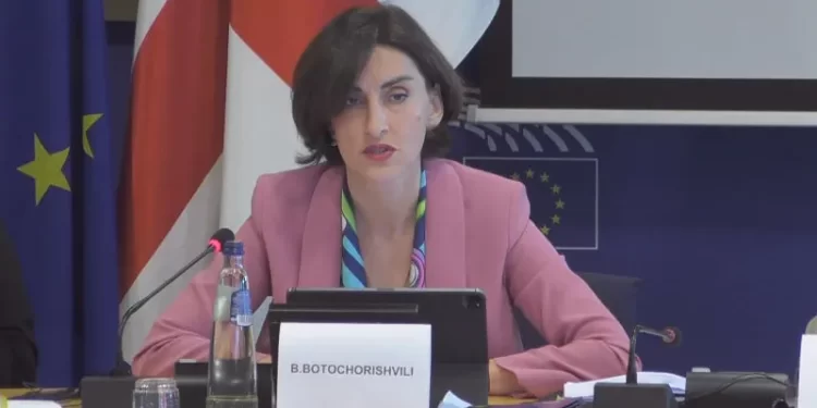 Maka Bochorishvili: Decision not to grant candidate status left space for uncertainty, speculations