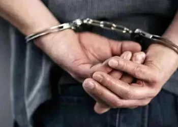One person arrested in connection with the assault on Misha Msvildadze