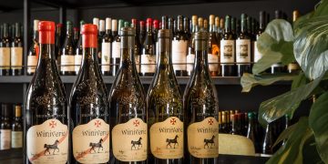 “Winiveria” Plans to Enter New Export Markets