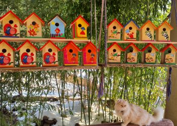 “Hoby” to Add New Products