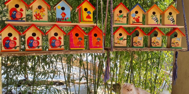 “Hoby” to Add New Products