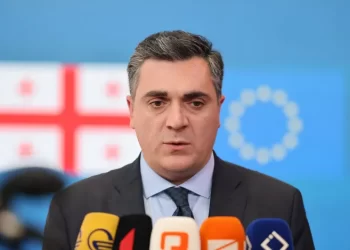 Georgian FM: Ukraine’s decision is baseless, we will remain calm, we won’t react