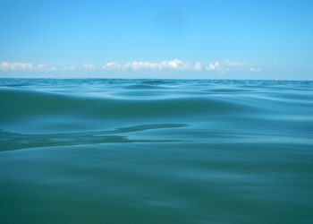 National Environment Agency: Black Sea water quality within norm