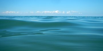 National Environment Agency: Black Sea water quality within norm