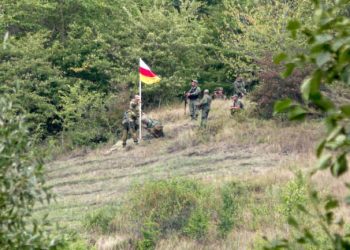 Occupation forces illegally arrest 6 citizens of Georgia
