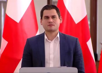 For Georgia on Shovi tragedy: Discussing the issue of creating investigative commission will turn the process into political confrontation