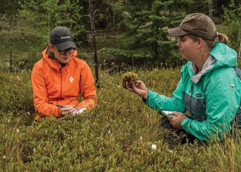 Ilia State University Introduces Master’s Program on Nature Conservation and Forestry