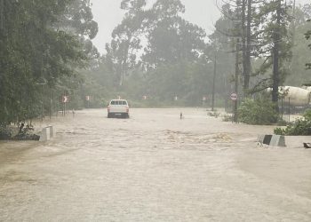 Landslide in Guria: 80-year-old woman found dead