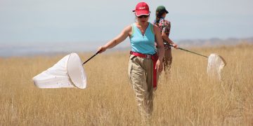 Exploring Culinary Excellence: The Journey of Chef Giorgi Tigishvili