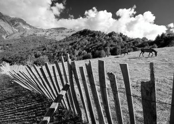 Tbilisi Hosted the Final Concert of Night Serenades 2023
