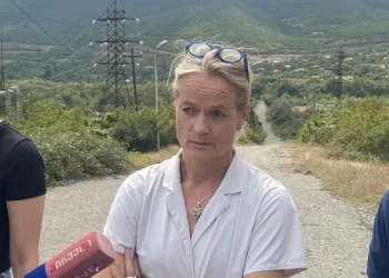 MEP Cramon: Impeachment of President is an attempt to divert the public’s attention from real problems