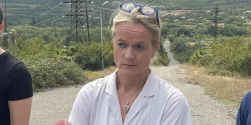 MEP Cramon: Impeachment of President is an attempt to divert the public’s attention from real problems