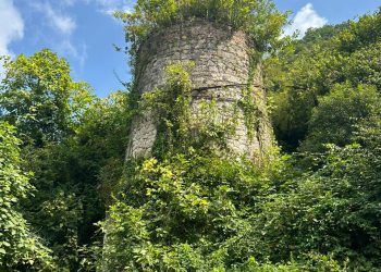 “Movement for Cultural Heritage” (Sakdrisi Committee) statement on grave condition of cultural heritage in occupied Abkhazia