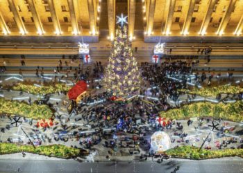 Tbilisi’s New 720,000 GEL Christmas Tree