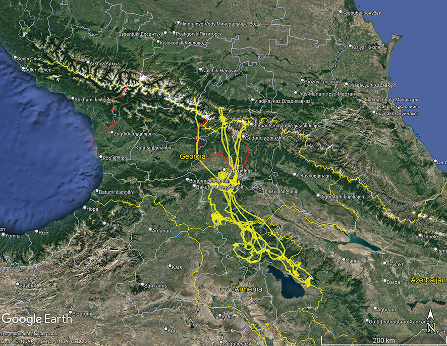 Movements of Kajiri-001 since 2022