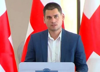 Daushvili: ‘For Georgia’ party will take into account the President’s call regarding the presence in the hall during the impeachment procedure