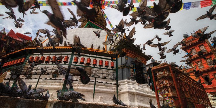 Georgian Poetry – The Pillow, by Ioseb Grishashvili