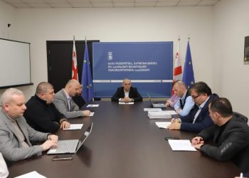 Decision of the IDPs Study Commission: The Agency for IDPs and Eco-migrants of Georgia to Buy Houses in Rural Areas for about 100 Families