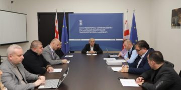 Decision of the IDPs Study Commission: The Agency for IDPs and Eco-migrants of Georgia to Buy Houses in Rural Areas for about 100 Families