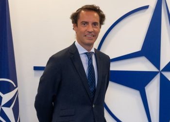 NATO Rep hails EU’s decision on Georgia, emphasizes need to continue reforms