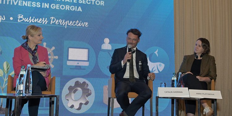 Summarizing the impressive results of the private sector support program funded by the European Union. Photo by UNDP/Vladimir Valishvili