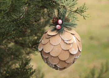 Environmental Ministry tightens controls on coniferous plant sale