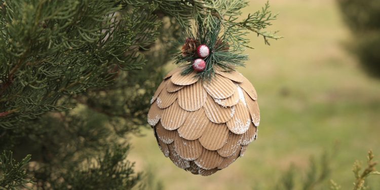 Environmental Ministry tightens controls on coniferous plant sale