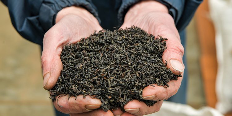 Photo: UNDP/Tonike Turabelidze