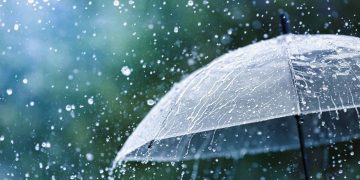 Upcoming days in Georgia: Expect heavy rain, snow, and wind