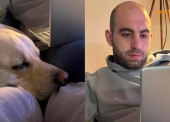 Missing in Tbilisi – The search for Dati Gavasheli goes on