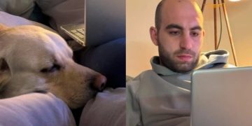 Missing in Tbilisi – The search for Dati Gavasheli goes on