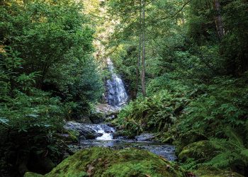 “Meeting Point: Mountains” Exhibition about the Cultural Region of Adjara