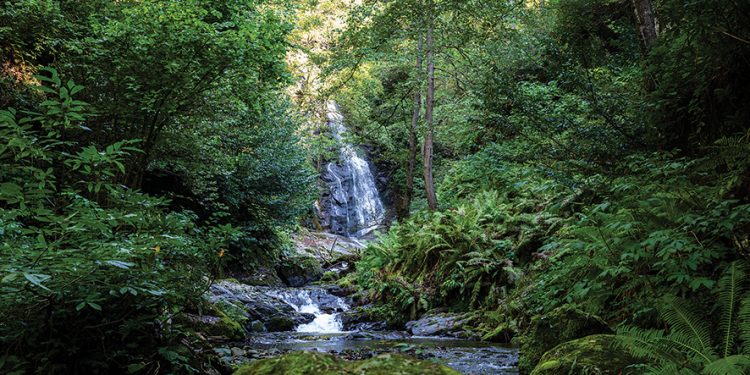 “Meeting Point: Mountains” Exhibition about the Cultural Region of Adjara