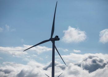 Image by Nino Zedginidze/UNDP