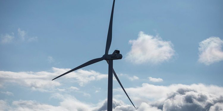 Image by Nino Zedginidze/UNDP