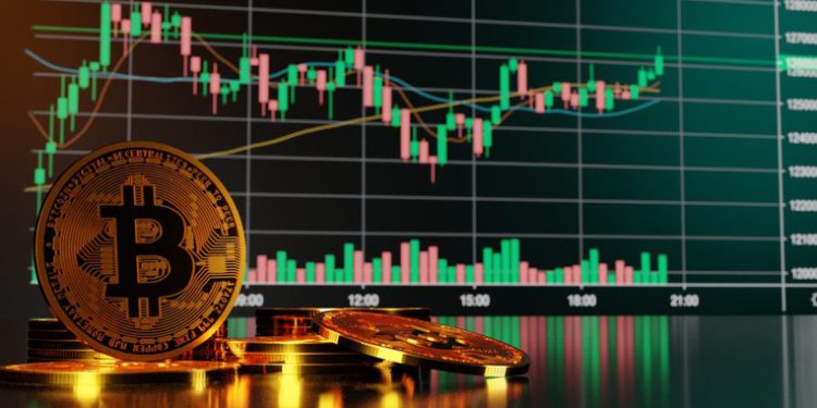 The change in the value of popular digital currencies over one week