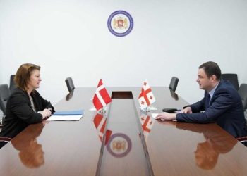 Danish Ambassador: It’s “a pity” that “opponents” used her article in “negative context”