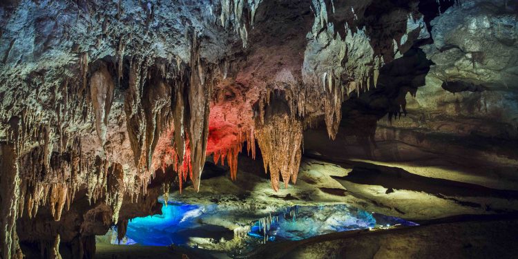 In 2023, the most popular protected areas for visitors were Prometheus Cave, Martvili Canyon and Sataplia