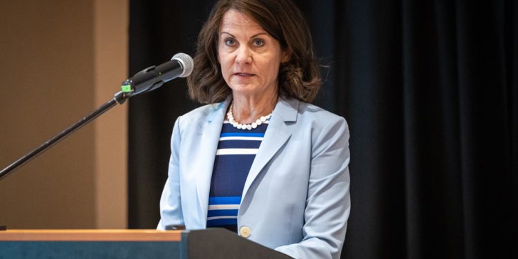 US Ambassador: We want Georgia to be a member of the European Union