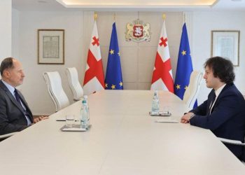 PM meets EU Ambassador, says Georgia belongs in the EU