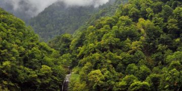 A protected area worth 767,590 GEL to be created on 15 hectares in Guria