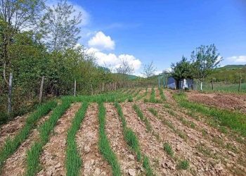 Georgian girl wins int’l photo competition ‘Growing with Your Food’